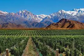 Mendoza